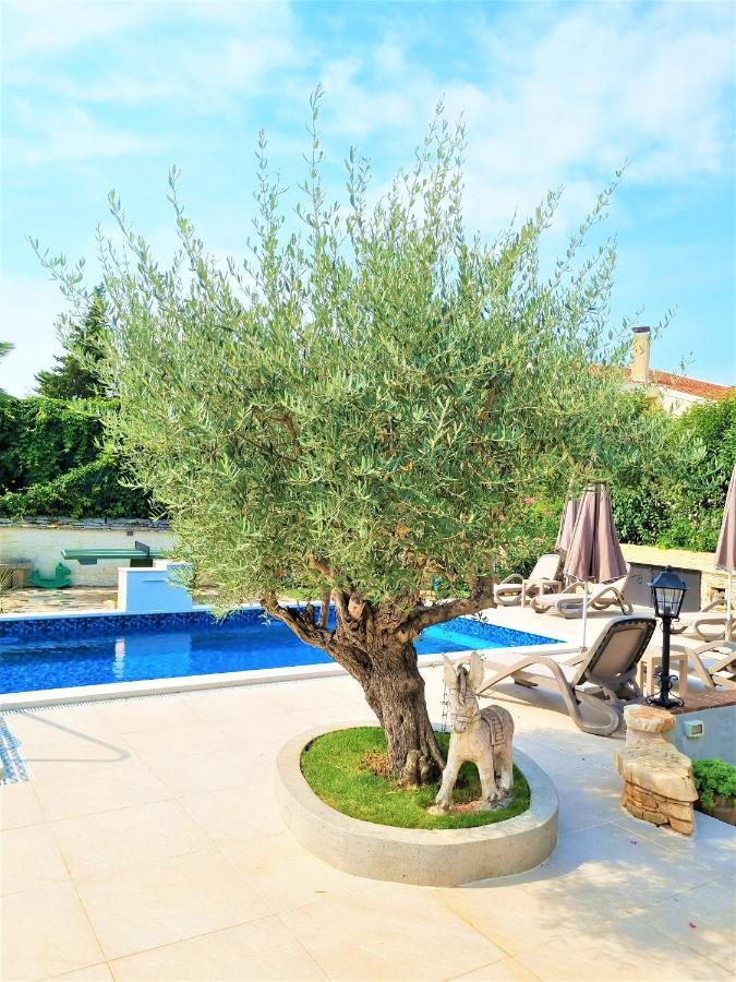 Apartment Villa Engel With Pool Poreč Eksteriør billede
